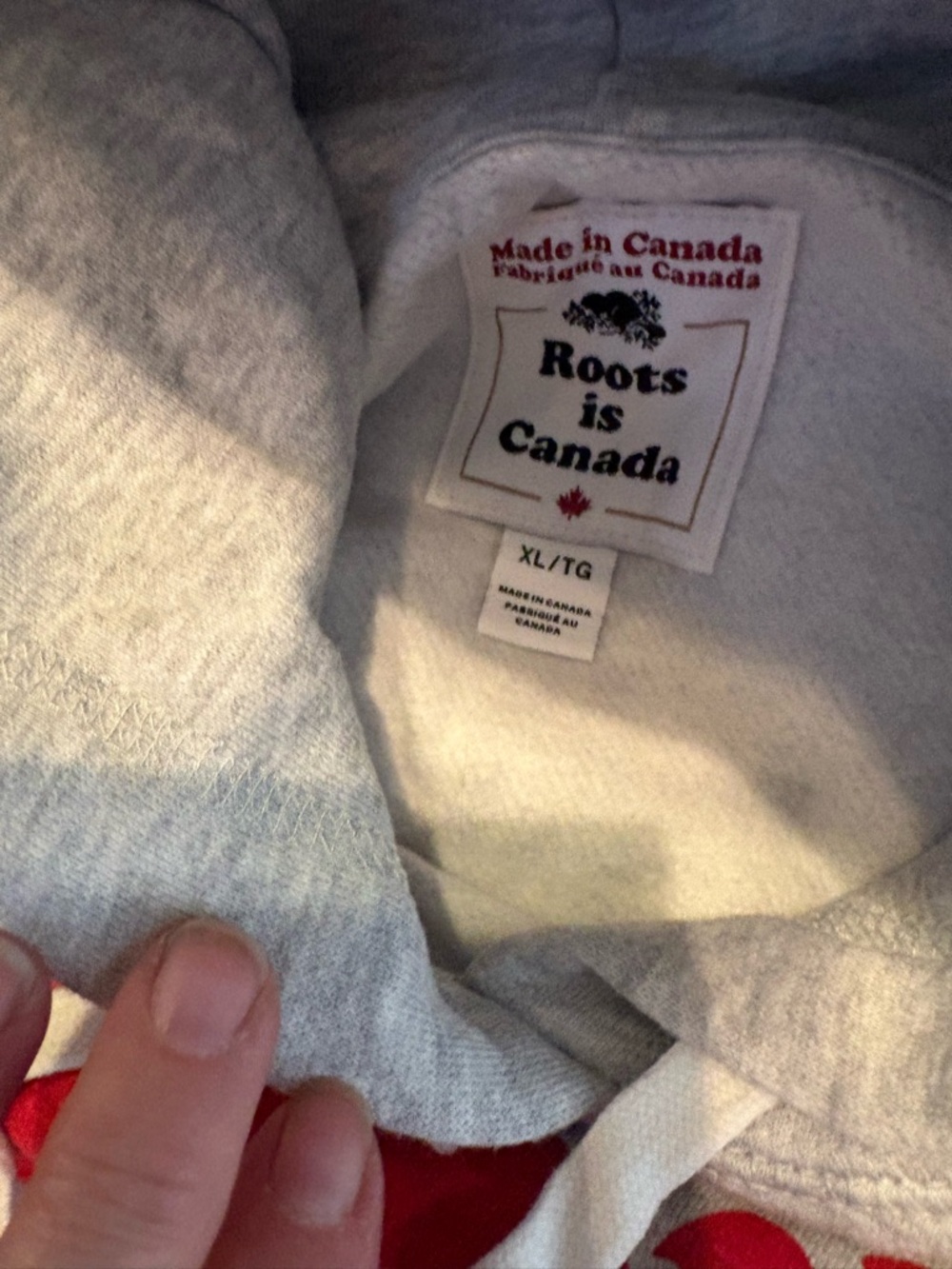 Roots Gray Canada Hoodie with Red Beaver & Rainbow Text - Picture 2 of 3